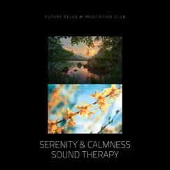 Serenity & Calmness, Sound Therapy by Relaxation Sleep Meditation, Future Relax & Meditation Club & Meditation Music album reviews, ratings, credits