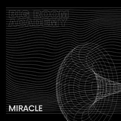 Miracle - Single by Big Room Academy album reviews, ratings, credits