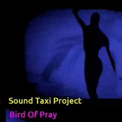 Bird of Pray (2022 Remastered Version) - Single by Sound Taxi Project album reviews, ratings, credits
