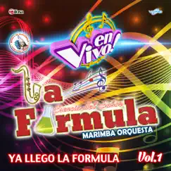 Ya Llegó la Fórmula, Vol. 1. Música de Guatemala para los Latinos (En Vivo) by La Fórmula Marimba Orquesta album reviews, ratings, credits