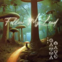 Follow My Lead - Single by The Gamma Wave album reviews, ratings, credits