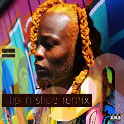 Slip N Slide Remix (feat. Brisco) - Single by King P album reviews, ratings, credits