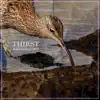 Thirst (feat. Камиль Скрипка & Тимур Басов) song lyrics