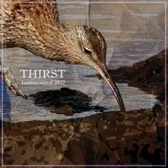 Thirst (feat. Камиль Скрипка & Тимур Басов) Song Lyrics