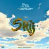 In the Sky (feat. Joe Ayinde, T-Throw & Neil Letendre) - Single album lyrics, reviews, download