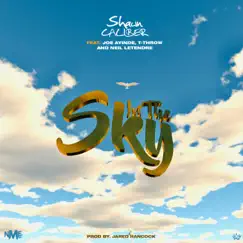 In the Sky (feat. Joe Ayinde, T-Throw & Neil Letendre) Song Lyrics