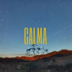 Calma - Single by Reyskills album reviews, ratings, credits