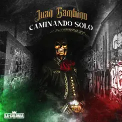 Caminando Solo - Single by Juan Gambino album reviews, ratings, credits