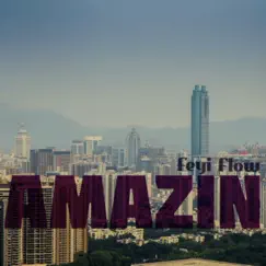Amazin - Single by Feyi Flow album reviews, ratings, credits