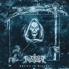 Drown in Misery - Single by Falsifier album reviews, ratings, credits