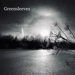 Greensleeves - Single by Jamie Dupuis album reviews, ratings, credits