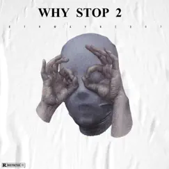 Why Stop 2 by Btrwayne007 album reviews, ratings, credits
