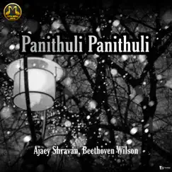 Panithuli Panithuli - Single by Ajaey Shravan & Beethoven Wilson album reviews, ratings, credits