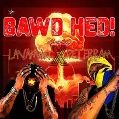 Bawd Hed! - Single by Lavaman, Peter Ram & YTM Recordz album reviews, ratings, credits