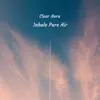 Inhale Pure Air - EP album lyrics, reviews, download