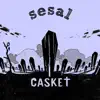 Sesal - Single album lyrics, reviews, download