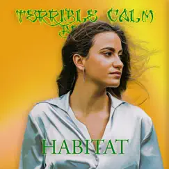 Habitat - Single by Terrible Calm album reviews, ratings, credits