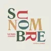 Su Nombre / Venid Adoremos - Single album lyrics, reviews, download