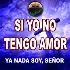 Si yo no tengo amor ya nada soy Señor - Single by Martín Calvo album reviews, ratings, credits