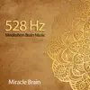 528 Hz Meditation Brain Music - EP album lyrics, reviews, download