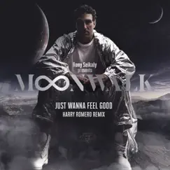 Just Wanna Feel Good (Harry Romero Remix) - Single by Rony Seikaly album reviews, ratings, credits