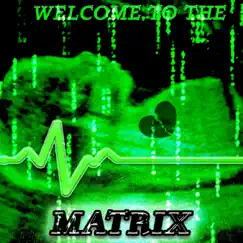 Matrix Lover Song Lyrics