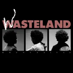 WASTELAND by Brent Faiyaz album reviews, ratings, credits