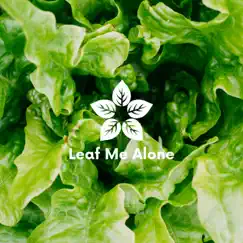 Gentle Day Rain (Nature) - Single by Leaf Me Alone album reviews, ratings, credits