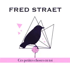 Ces petites choses en toi (Radio Edit) - Single by Fred Straet album reviews, ratings, credits
