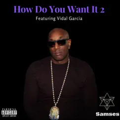 How Do You Want It 2 (feat. Vidal Garcia) - Single by Samses album reviews, ratings, credits