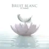 Bruit blanc et piano (Musique pour dormir) album lyrics, reviews, download