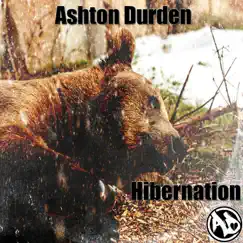 Hibernation by Ashton Durden album reviews, ratings, credits