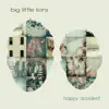 Happy Accident album lyrics, reviews, download