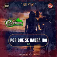 Por que se abra ido - Single by Imparable Banda Cerritos Cerro Del Campo album reviews, ratings, credits