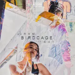 Birdcage (feat. K4T) Song Lyrics