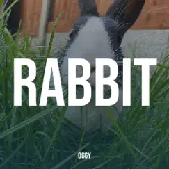 Rabbit - Single by Oggy album reviews, ratings, credits