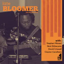 Late Bloomer by David Jamison album reviews, ratings, credits