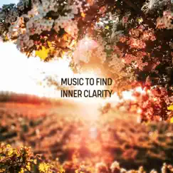 Music to Find Inner Clarity by Ambient Music Collective album reviews, ratings, credits