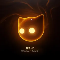FED UP - Slowed + Reverb - Single by Slow Cat & Mr Cat album reviews, ratings, credits