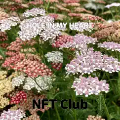 Hole In My Heart - Single by NFT Club album reviews, ratings, credits