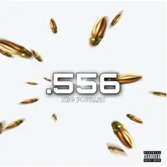 Mayday 556 - Single by NBG POPPARU album reviews, ratings, credits
