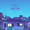 Runaway Lofi Cat (feat. Patrik Panda) - Single album lyrics, reviews, download