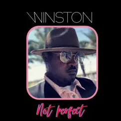 Not Perfect - Single by Winston album reviews, ratings, credits