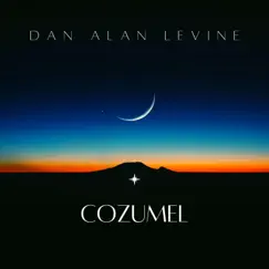 Cozumel (feat. Jeanette Harris) - Single by Dan Alan Levine album reviews, ratings, credits