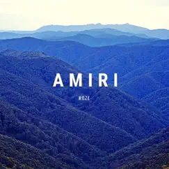 Amiri - Single by Roze album reviews, ratings, credits