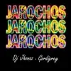 Jarochos - Single album lyrics, reviews, download