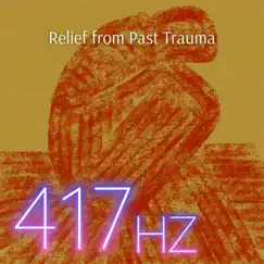 Relief from Past Trauma by 417 Hz album reviews, ratings, credits