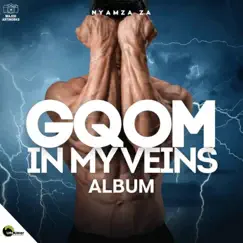 Gqom In My Veins by Nyamza ZA album reviews, ratings, credits