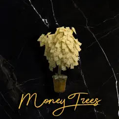 Money Trees Song Lyrics