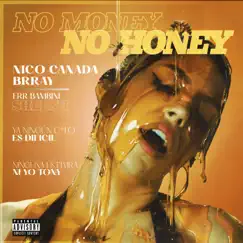 No Money No Honey (feat. Brray ) - Single by Nico Canada album reviews, ratings, credits
